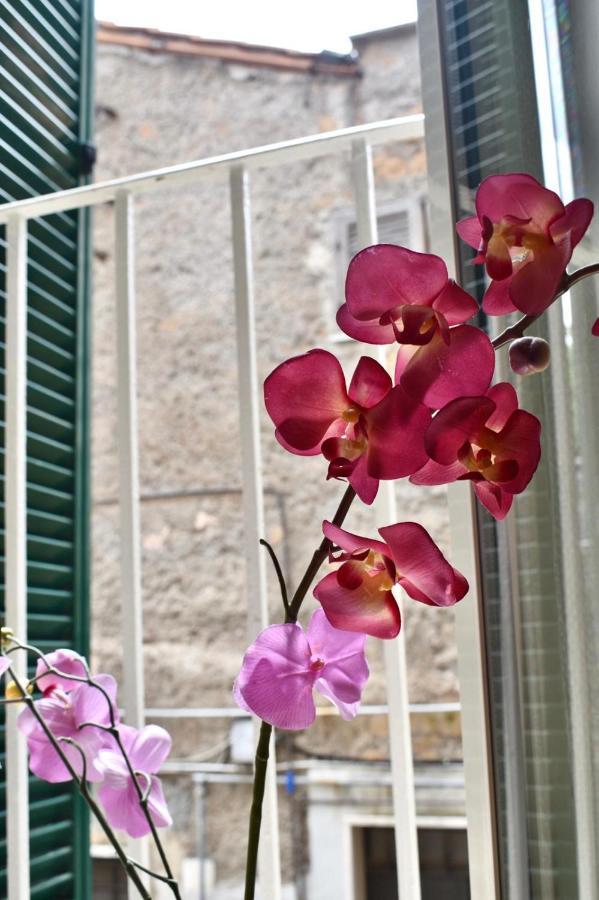 Suali Case Nel Borgo Civita Castellana Exteriér fotografie
